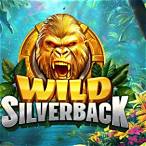 silverback slot